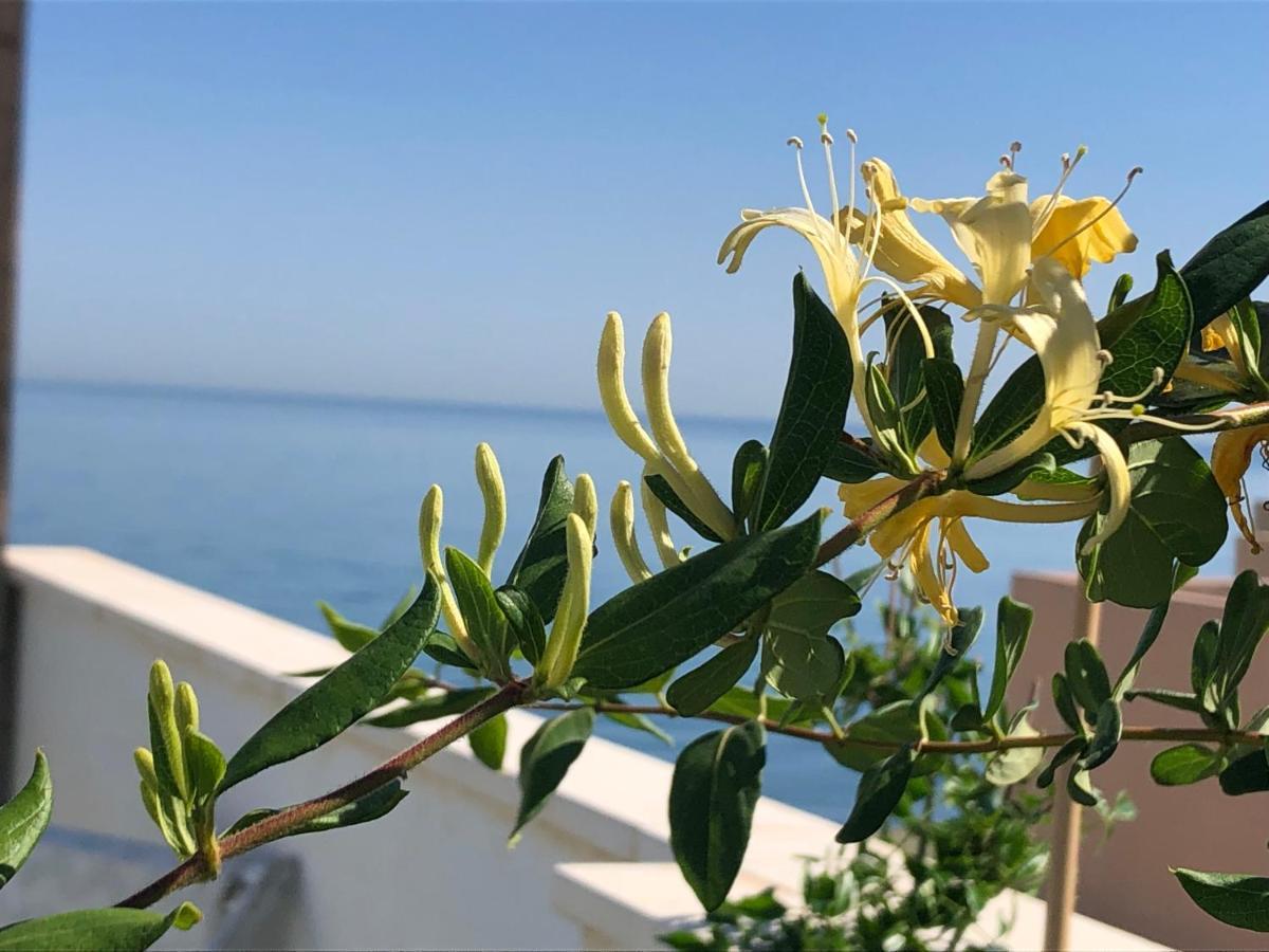 Ático en la playa con terraza privada La Cala Del Moral Exterior foto